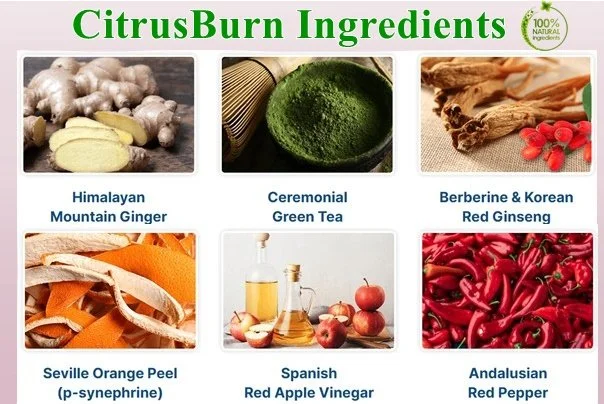 Citrus Burn weight loss supplement bottle